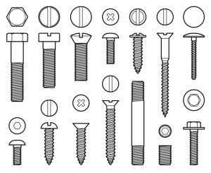 Bolt Anatomy