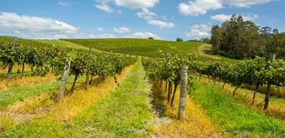 Dungog — Building Supplies in Heatherbrae, NSW